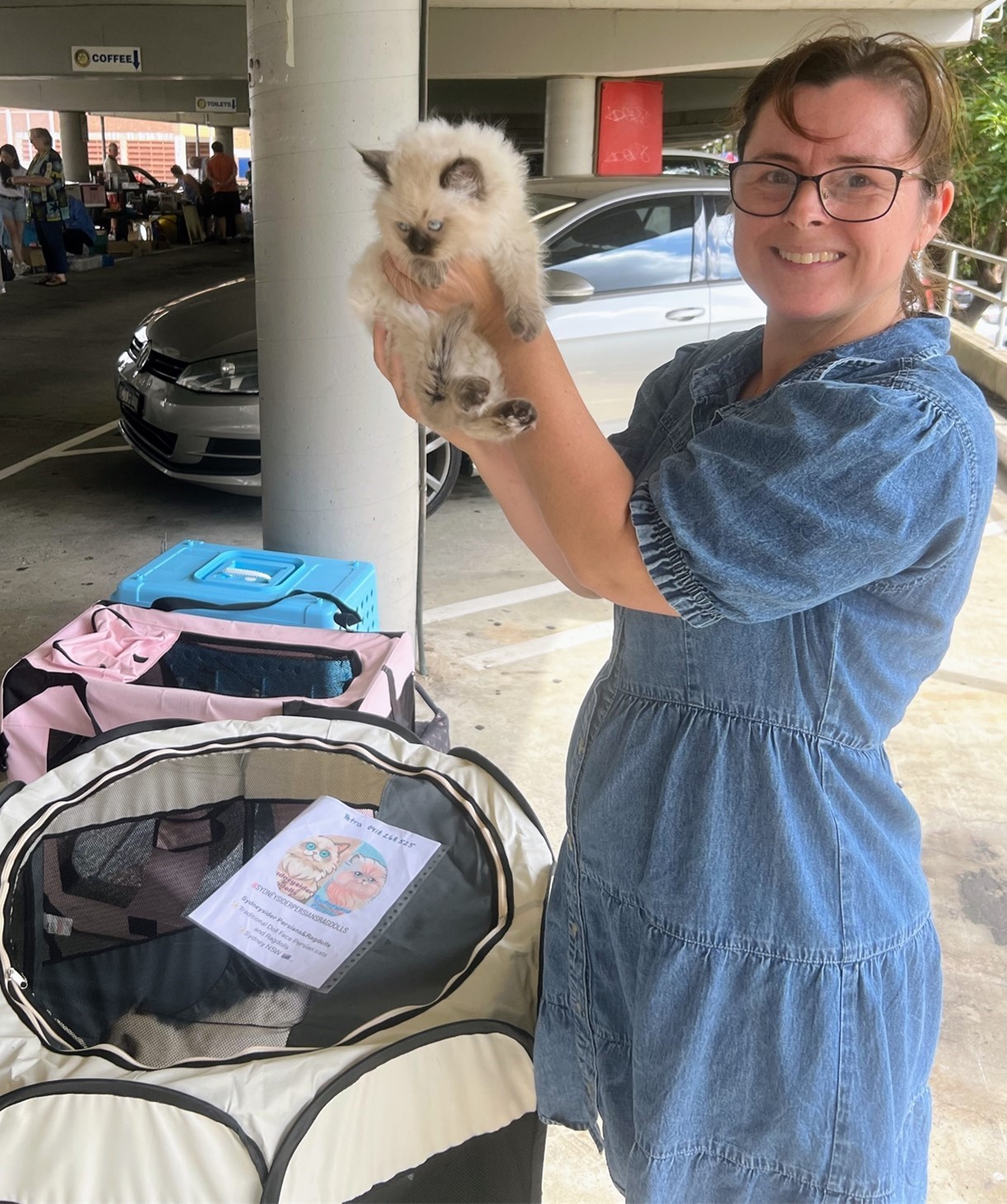 Petra Thomson Ragdoll Kittens Adoption